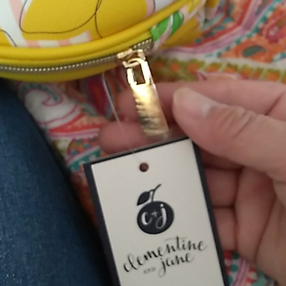 LEMON π COSMETIC π CASE - Picture 5 of 6